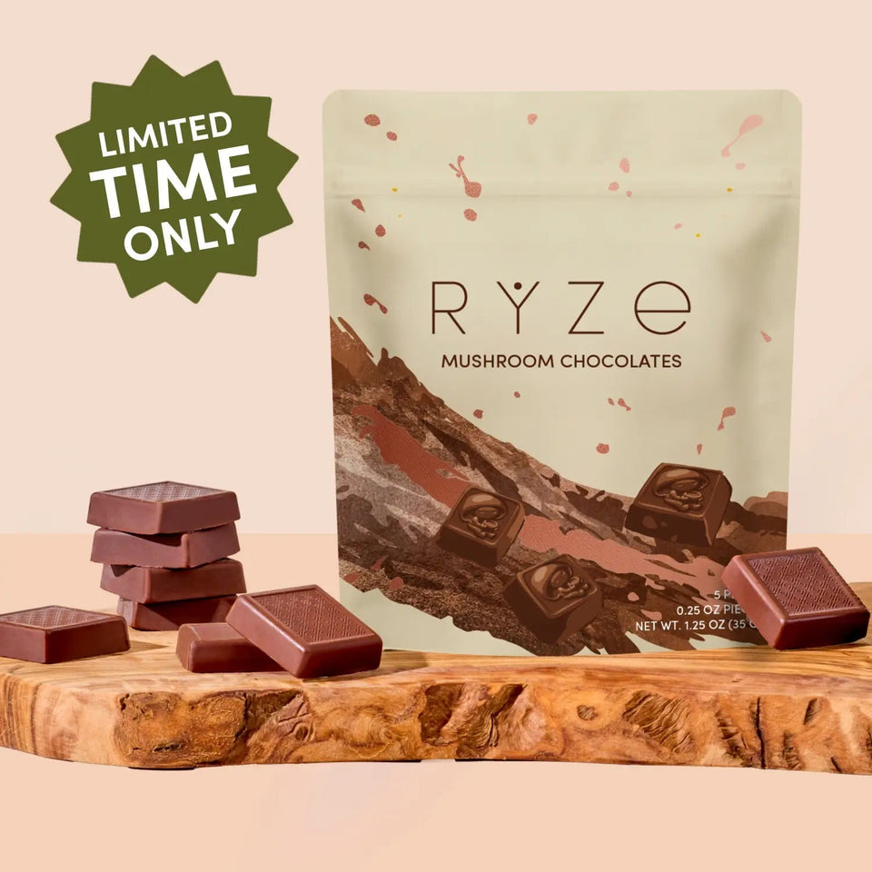 Mushroom Chocolates Rye (15 pieces) - Easy Mushroom Carry
